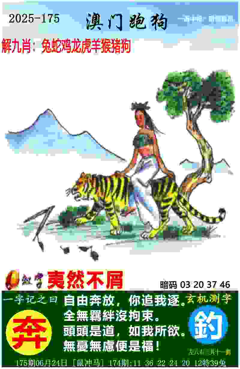 【视频】巴黎，我们来了！逐梦巴黎残奥会，青岛跆拳道运动员全力备战