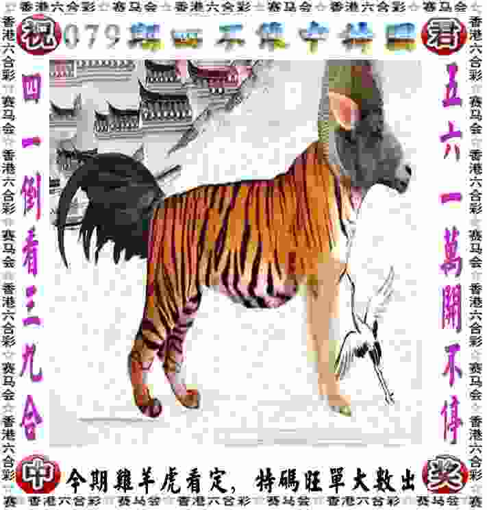 7大板块30余项赛事活动！9月初，青岛再迎海洋体育盛会